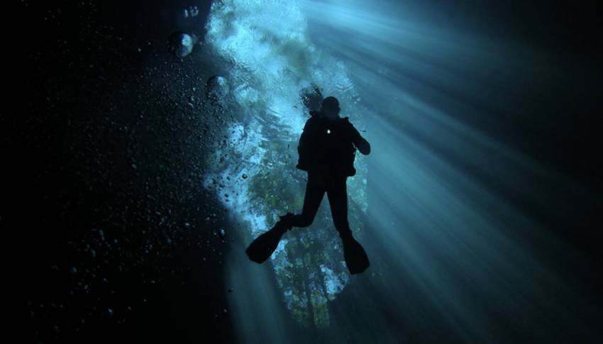Explore Yucatan underwater